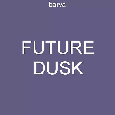 Lady B punčochové kalhoty MICRO tights 50 DEN future dusk