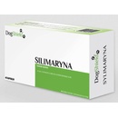 DogShield SiliMaRyNa 45 tbl