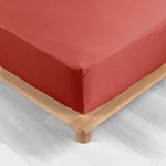 douceur d'intérieur Еластичен чаршаф от памук перкал в тухлен цвят 140x190 cm Percaline - douceur d'intérieur (1643404)