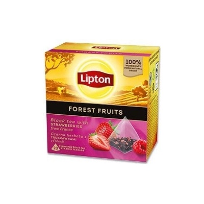 Lipton černý čaj lesní ovoce pyramida 20 x 1,5 g