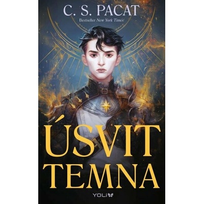 Úsvit temna - S. Pacat C.
