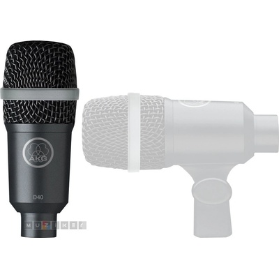 AKG D 40