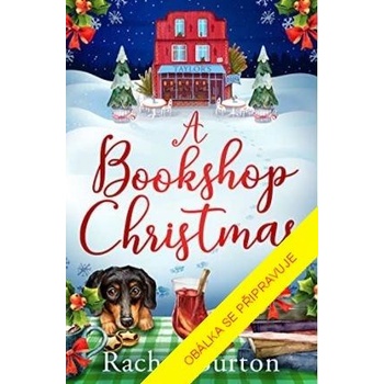 Vánoce mezi knihami - Rachel Burton