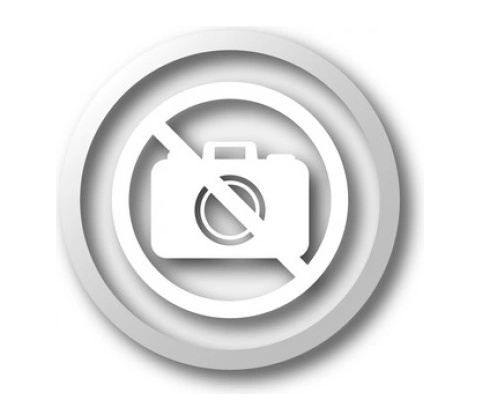 Nikon SB-R1C1