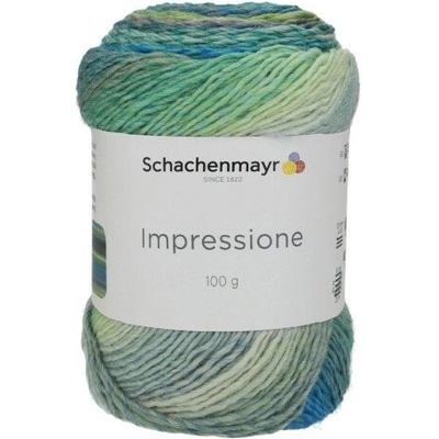 Schachenmayr Impressione 86