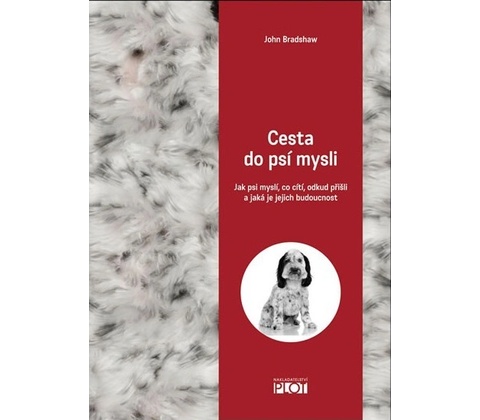 Cesta do psí mysli