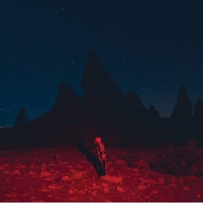 Punisher - Phoebe Bridgers LP