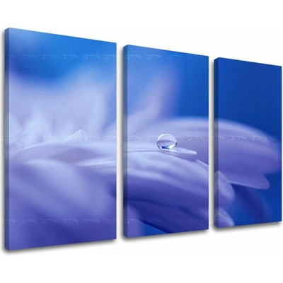 Obraz na stenu KVETY - 60x40