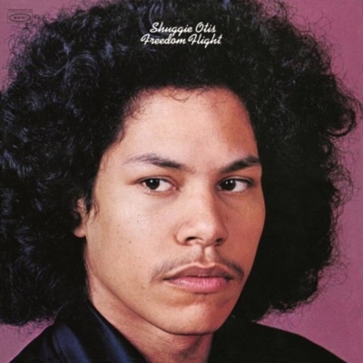Shuggie Otis - Freedom Flight (Reissue) (180 g) (LP) (8718469538287)