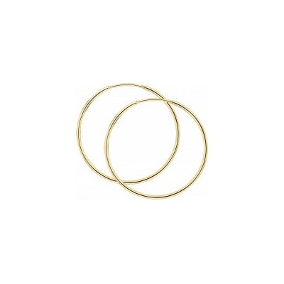Elements Gold zlaté náušnice / 20mm GE2458