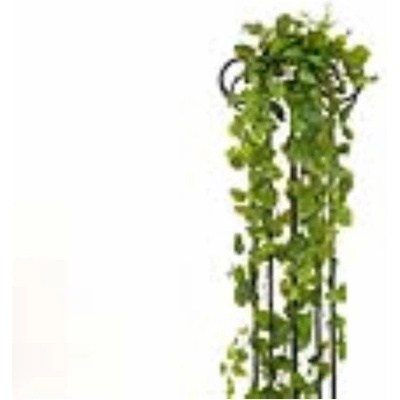 Girlanda Photosu Premium, 170 cm