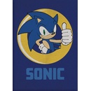 Aymax Detská deka Ježko Sonic