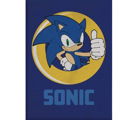 Aymax Detská deka Ježko Sonic