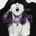 Liz Phair - Exile In Guyville (Limited Edition) (Purple Coloured) (2 LP) (0744861111405)