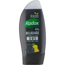 Radox Men Feel Wild Blackberry & Ginger 2v1 sprchový gel 250 ml