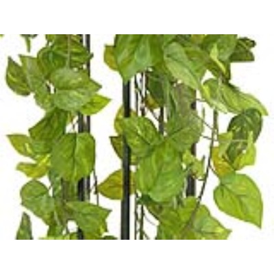Girlanda Photosu Premium, 170 cm