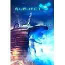 Subject 13