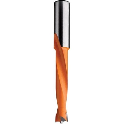 IGM C36210012