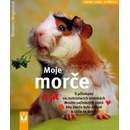 Moje morče a já