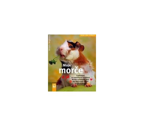 Moje morče a já