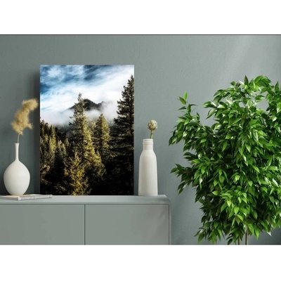 Divio Obraz na plátně, vzor 20386 Velikost: 60x90 cm