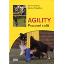 Agility - pracovní sešit