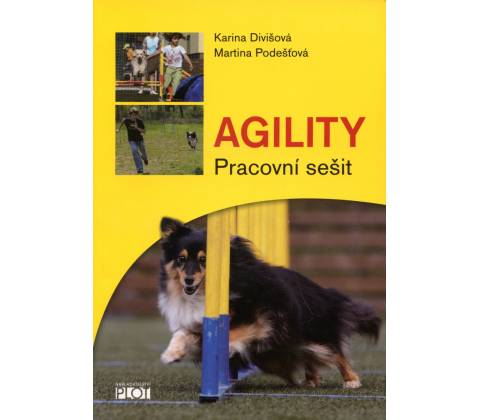 Agility - pracovní sešit