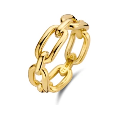 Ti Sento pozlacený prsten 12205SY