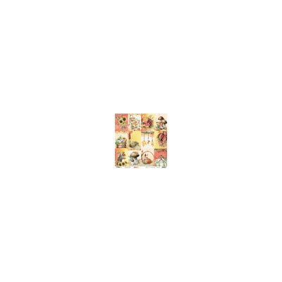 Beauty of Fall nr.55 30,5x30,5cm (SL) Studio Light SCRSL-BF-SCRAP55