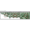 Venkovní dlažba Gutta Guttagarden Original 50 x 50 x 6,2 cm zelená 1 ks