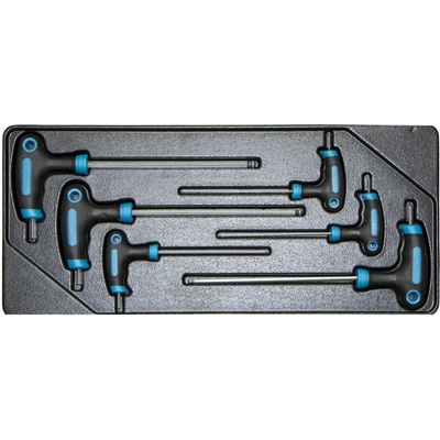 AHProfi VV006TI01