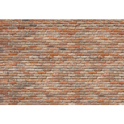 Komar Papierová fototapeta Backstein, rozměry 368 x 254 cm