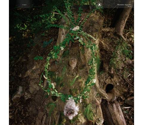 Pharmakon - MAGGOT MASS CD