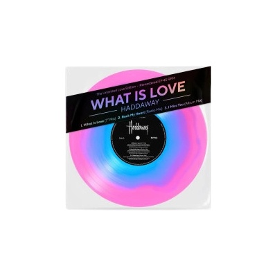 What Is Love - Haddaway LP