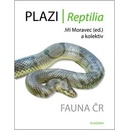 Plazi