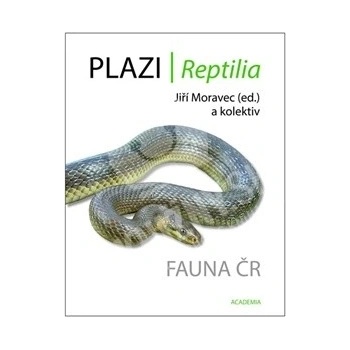 Plazi
