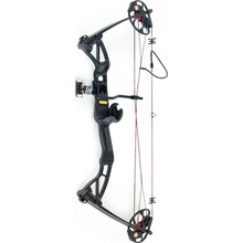 Ek ARCHERY REX