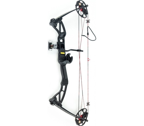 Ek ARCHERY REX