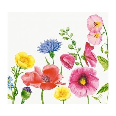 BioDunisoft Ubrousek Flowy Meadow 60ks 40x40cm