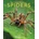Spiders: Amazing Pictures & Fun Facts on Animals in Nature | Kay De Silva