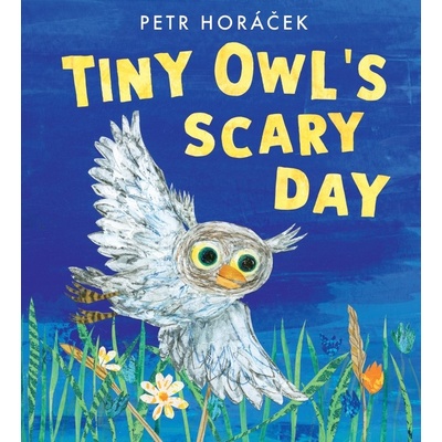 Tiny Owl's Scary Day kniha od Petra Horáčka v angličtině