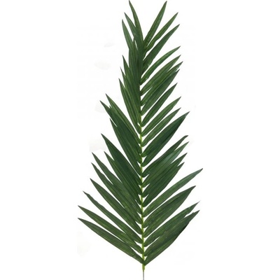List kokosové palmy, 150 cm