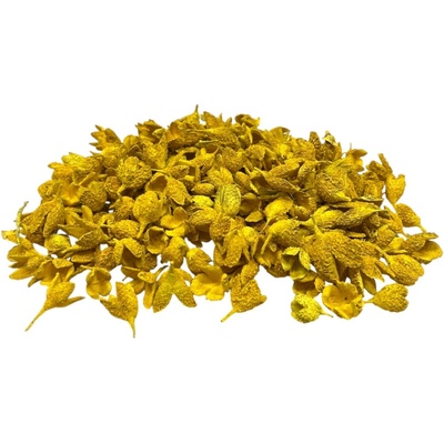 Sušené bukvice 220g - farbené žlté