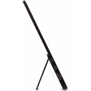 Acer PM161QB