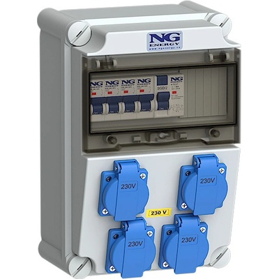 NG Energy SC 31 309 E.01