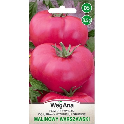 Rajčiak vysoký WARSZAWSKI 0,5 g