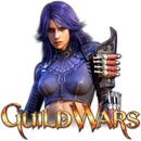 Hry na PC Guild Wars Factions