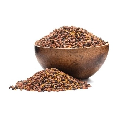 Grizly Brokolice ředkev jetel BIO mix semínek na klíčení 250 g