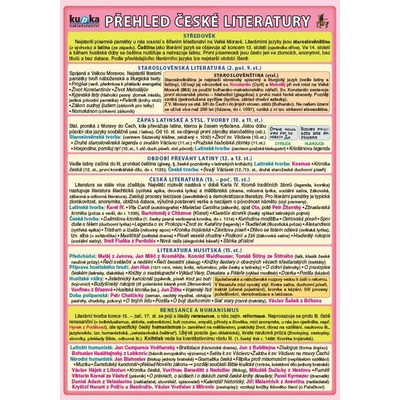 Přehled české literatury