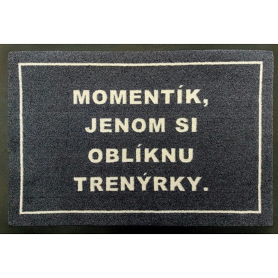 GDmats Trenýrková rohožka šedá 40x60 cm